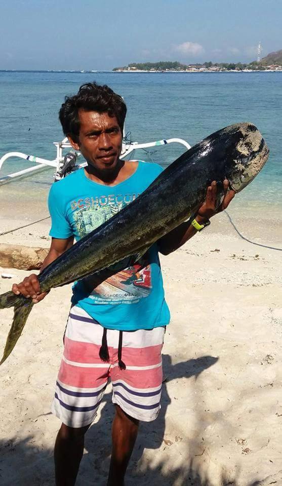 Sasak Island Bungalows กิลิเมโน ภายนอก รูปภาพ